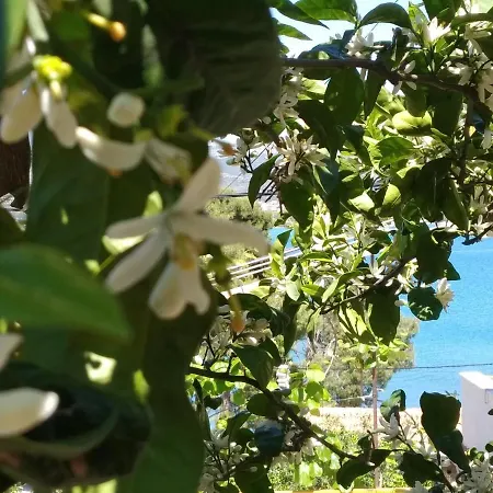 Appartement Nely - Sea, Terrace And Peace