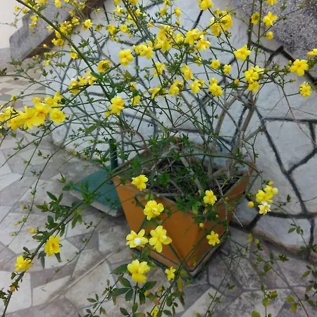 Appartement Nely - Sea, Terrace And Peace *