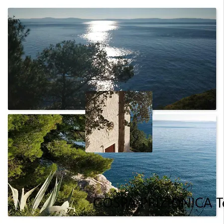 Nely - Sea, Terrace And Peace