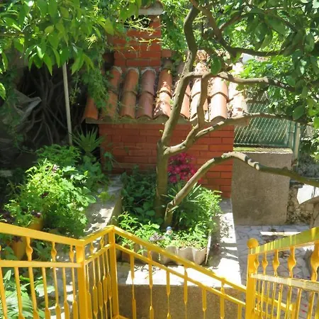 Nely - Sea, Terrace And Peace