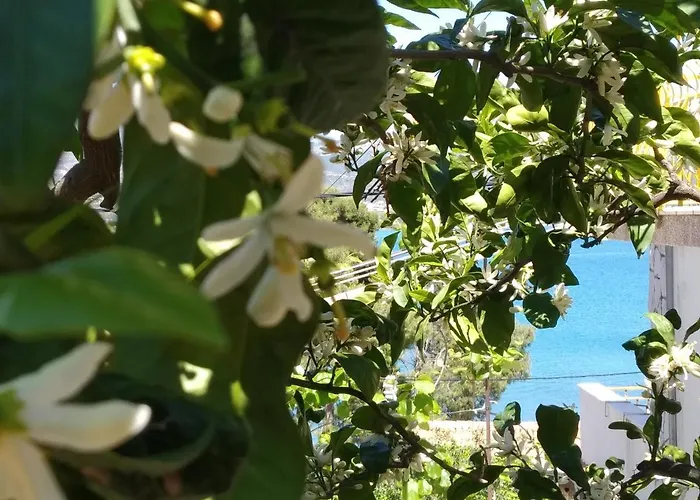 Apartment Nely - Sea, Terrace And Peace