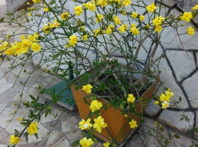 Apartment Nely - Sea, Terrace And Peace *