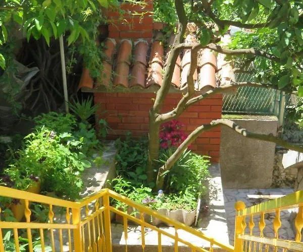 Nely - Sea, Terrace And Peace