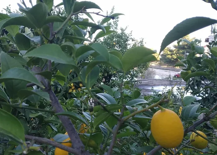 Nely - Sea, Terrace And Peace Apartment